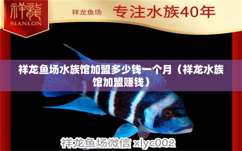 祥龙鱼场水族馆加盟多少钱一个月（祥龙水族馆加盟赚钱）