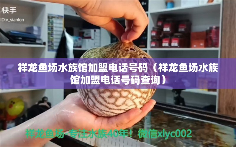 祥龙鱼场水族馆加盟电话号码（祥龙鱼场水族馆加盟电话号码查询）