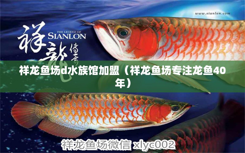 祥龙鱼场d水族馆加盟（祥龙鱼场专注龙鱼40年）