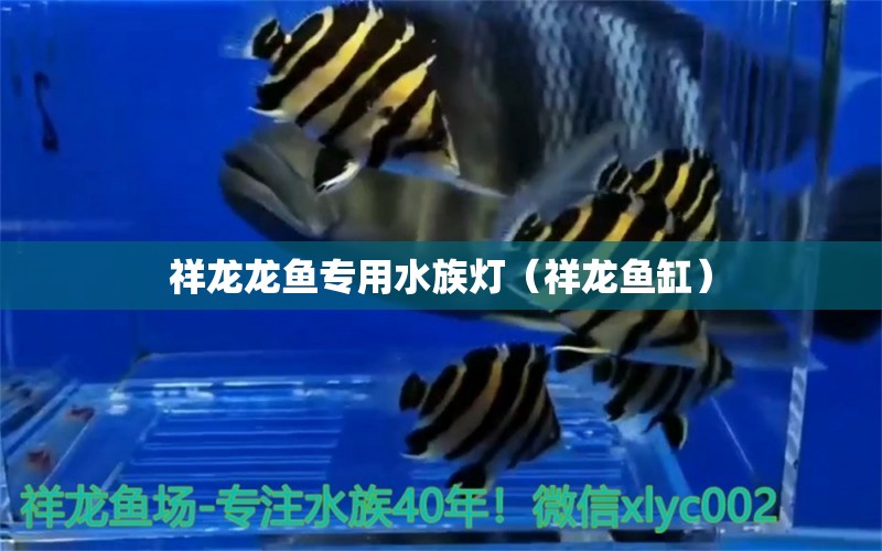 祥龙龙鱼专用水族灯（祥龙鱼缸）