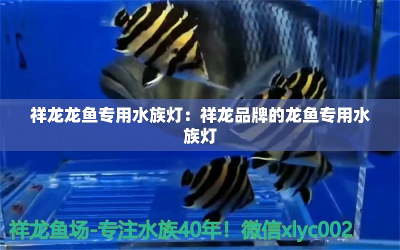 祥龙龙鱼专用水族灯：祥龙品牌的龙鱼专用水族灯