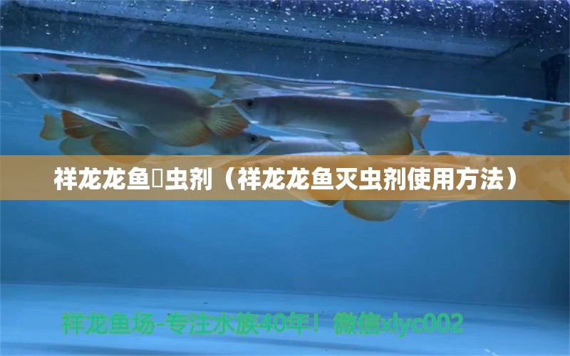 祥龙龙鱼滅虫剂（祥龙龙鱼灭虫剂使用方法） 祥龙水族护理水