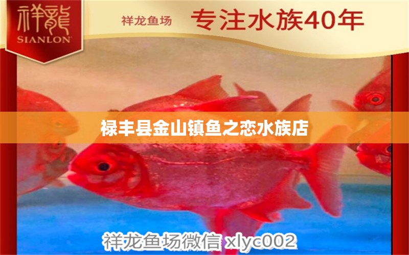 禄丰县金山镇鱼之恋水族店 全国水族馆企业名录