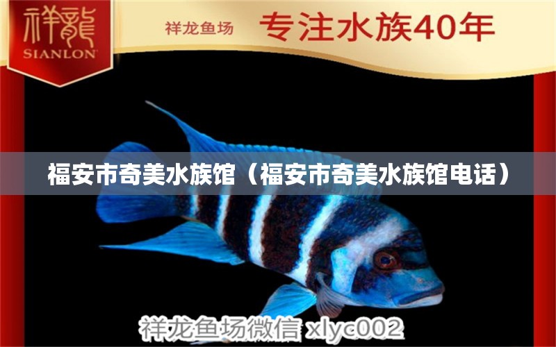 福安市奇美水族馆（福安市奇美水族馆电话）