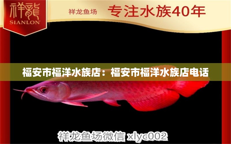 福安市福洋水族店：福安市福洋水族店电话 全国水族馆企业名录