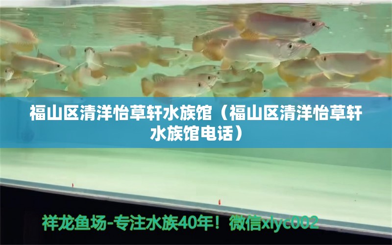 福山区清洋怡草轩水族馆（福山区清洋怡草轩水族馆电话） 全国水族馆企业名录