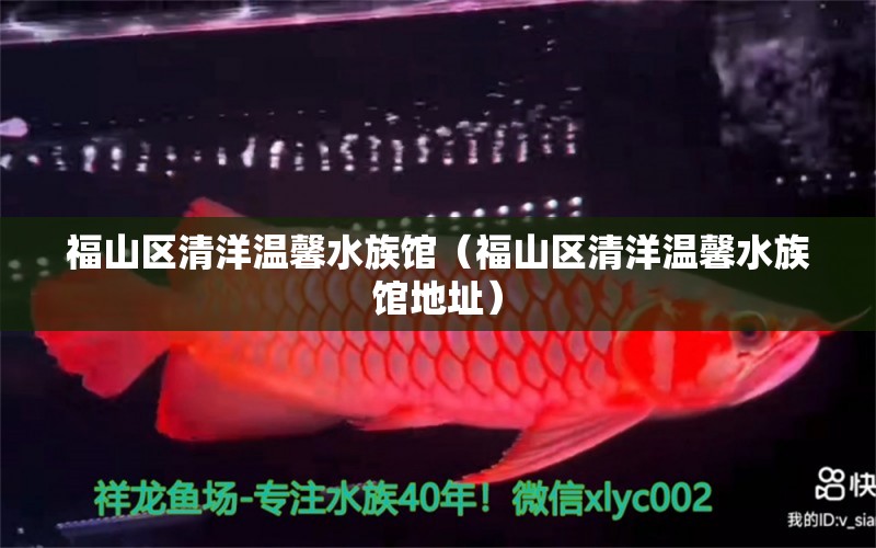 福山区清洋温馨水族馆（福山区清洋温馨水族馆地址）