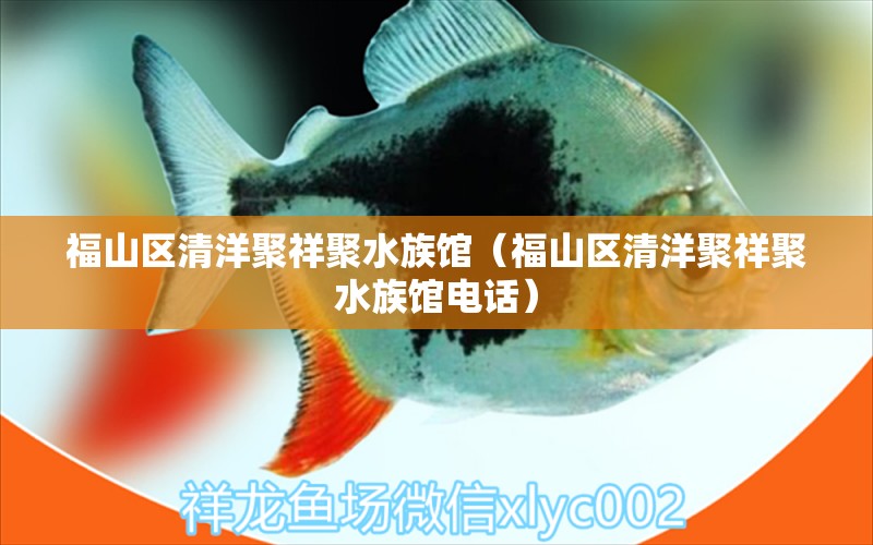 福山区清洋聚祥聚水族馆（福山区清洋聚祥聚水族馆电话）