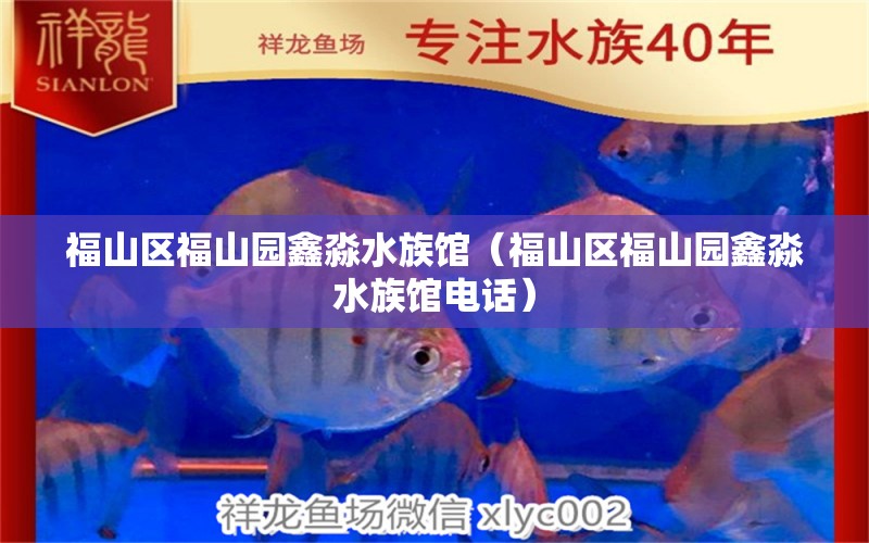 福山区福山园鑫淼水族馆（福山区福山园鑫淼水族馆电话） 全国水族馆企业名录