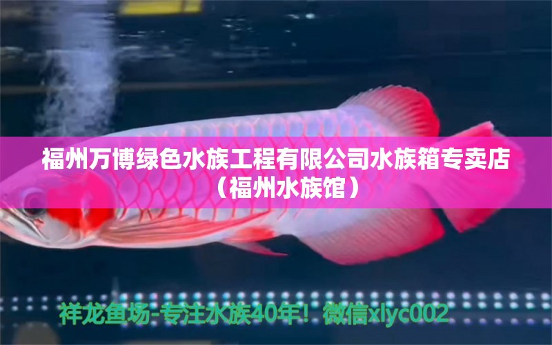 福州万博绿色水族工程有限公司水族箱专卖店（福州水族馆）