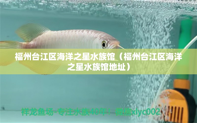 福州台江区海洋之星水族馆（福州台江区海洋之星水族馆地址）