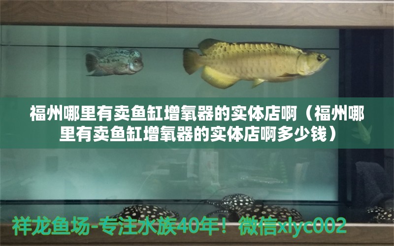 福州哪里有卖鱼缸增氧器的实体店啊（福州哪里有卖鱼缸增氧器的实体店啊多少钱）