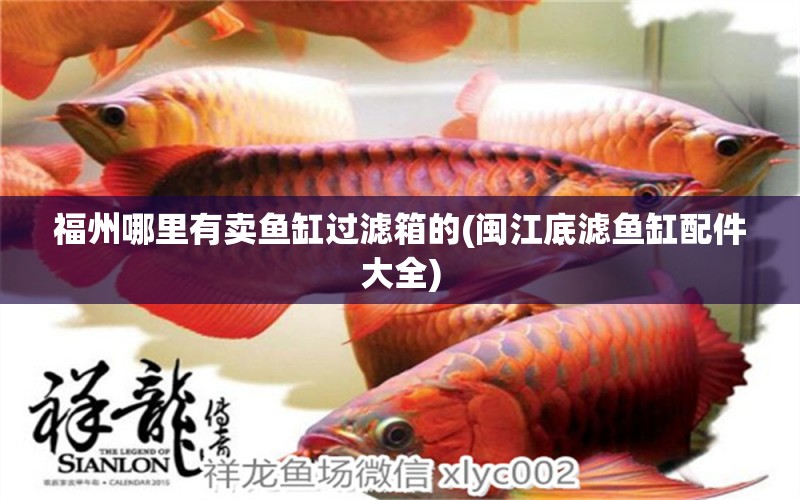 福州哪里有卖鱼缸过滤箱的(闽江底滤鱼缸配件大全) 红白锦鲤鱼
