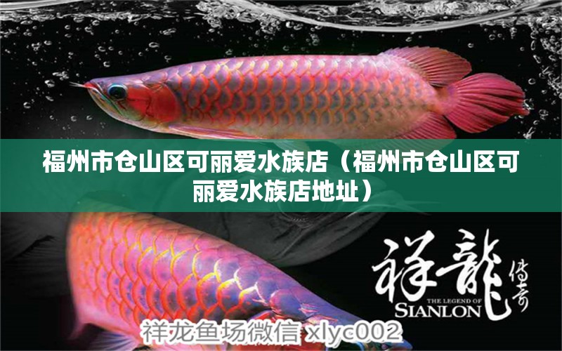 福州市仓山区可丽爱水族店（福州市仓山区可丽爱水族店地址）