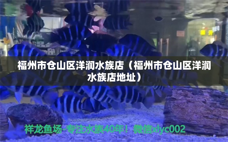 福州市仓山区洋润水族店（福州市仓山区洋润水族店地址）