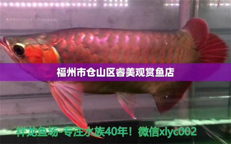 福州市仓山区睿美观赏鱼店 全国水族馆企业名录