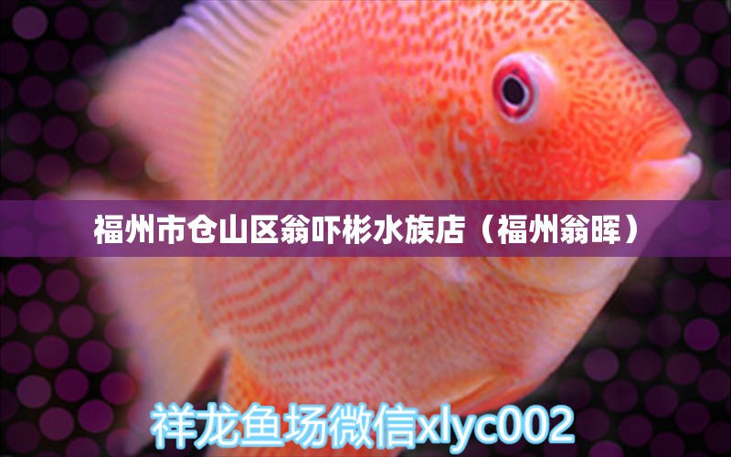 福州市仓山区翁吓彬水族店（福州翁晖）