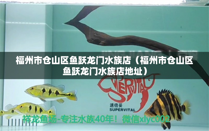 福州市仓山区鱼跃龙门水族店（福州市仓山区鱼跃龙门水族店地址）