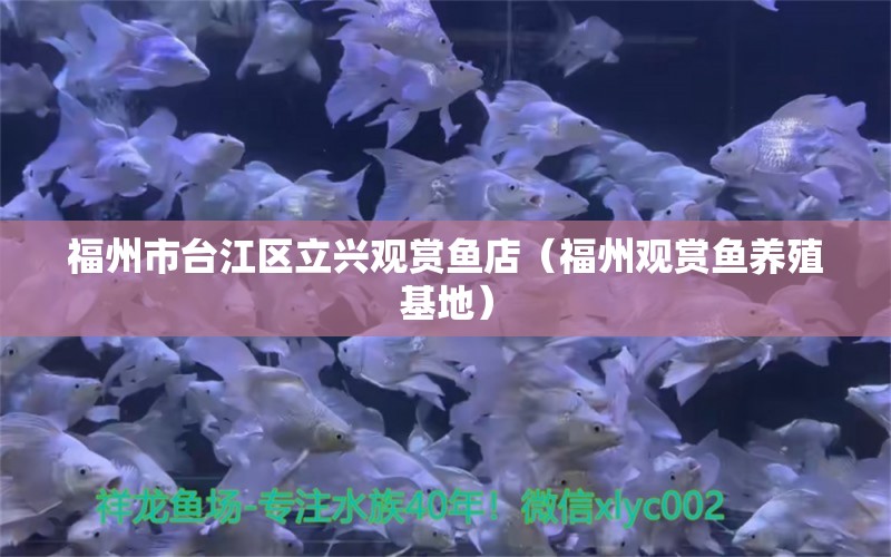 福州市台江区立兴观赏鱼店（福州观赏鱼养殖基地） 全国水族馆企业名录