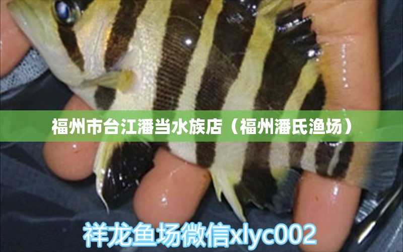 福州市台江潘当水族店（福州潘氏渔场）