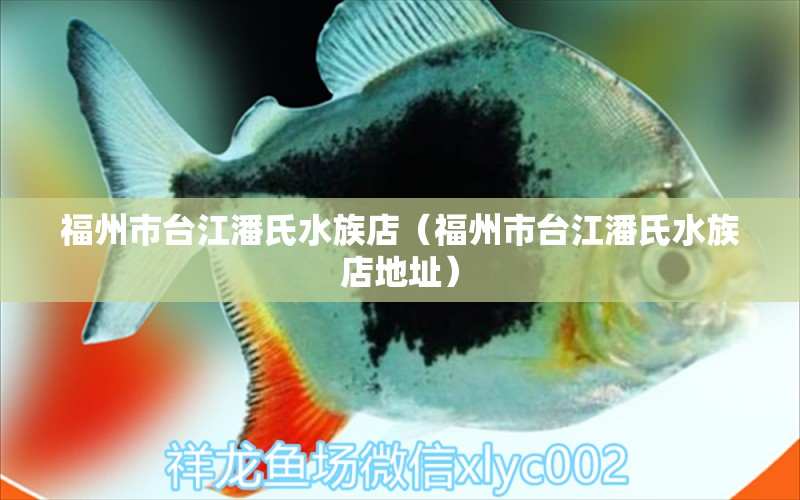 福州市台江潘氏水族店（福州市台江潘氏水族店地址）