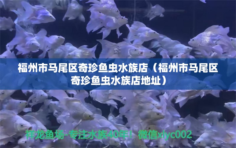 福州市马尾区奇珍鱼虫水族店（福州市马尾区奇珍鱼虫水族店地址） 全国水族馆企业名录