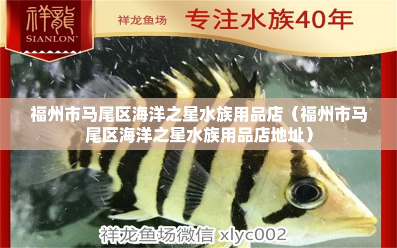 福州市马尾区海洋之星水族用品店（福州市马尾区海洋之星水族用品店地址）