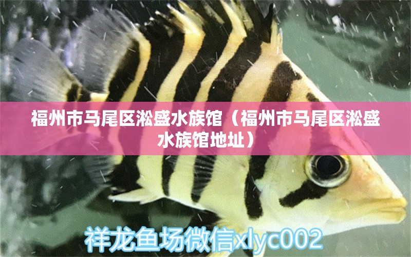 福州市马尾区淞盛水族馆（福州市马尾区淞盛水族馆地址）