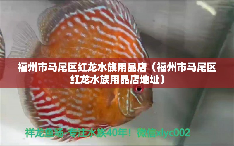 福州市马尾区红龙水族用品店（福州市马尾区红龙水族用品店地址） 水族用品