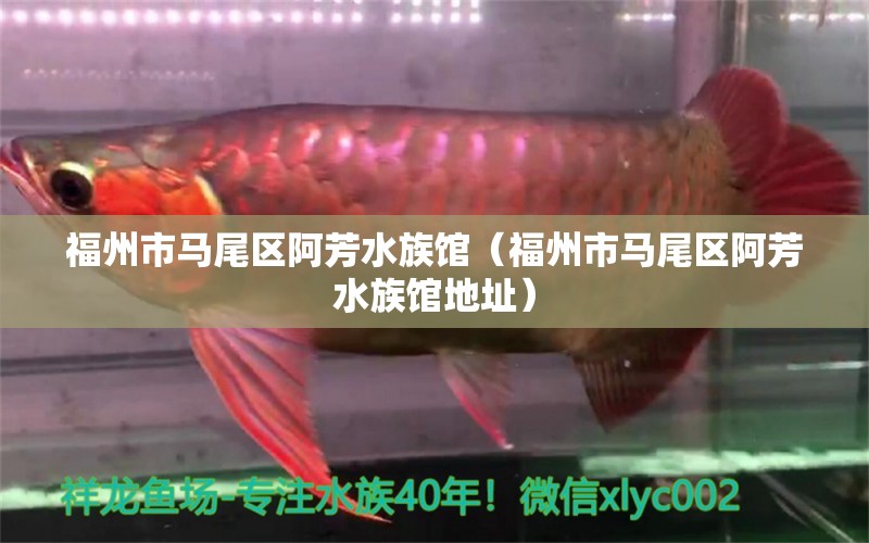 福州市马尾区阿芳水族馆（福州市马尾区阿芳水族馆地址） 全国水族馆企业名录