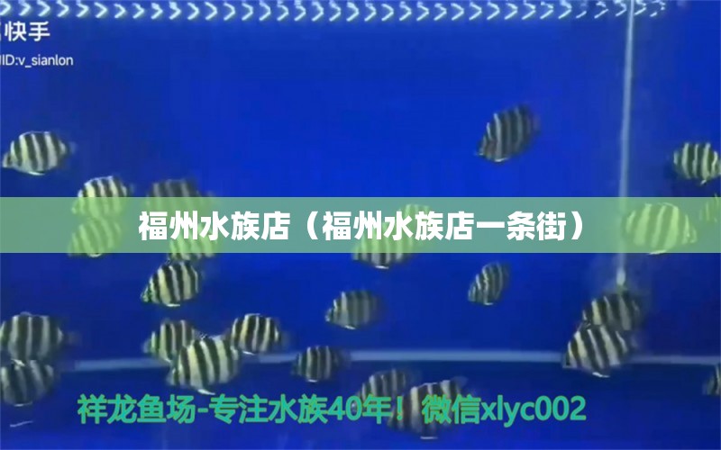 福州水族店（福州水族店一条街）