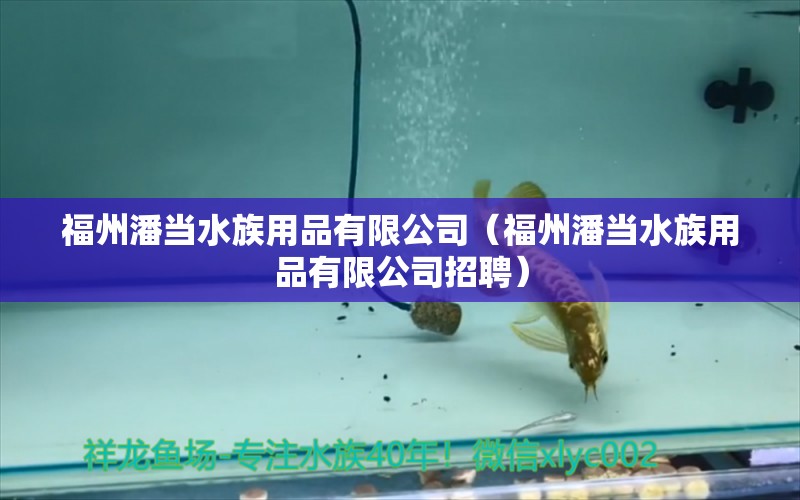 福州潘当水族用品有限公司（福州潘当水族用品有限公司招聘） 水族用品