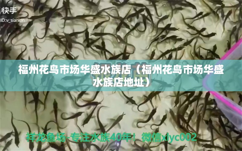 福州花鸟市场华盛水族店（福州花鸟市场华盛水族店地址） 全国水族馆企业名录