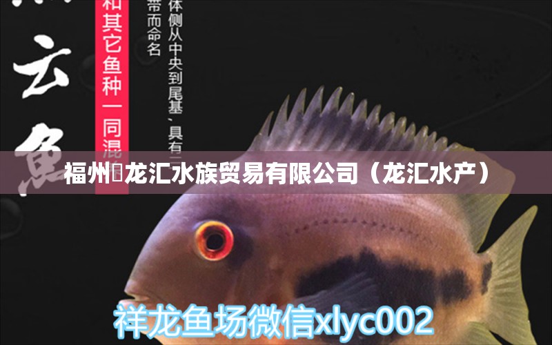 福州魟龙汇水族贸易有限公司（龙汇水产） 全国水族馆企业名录