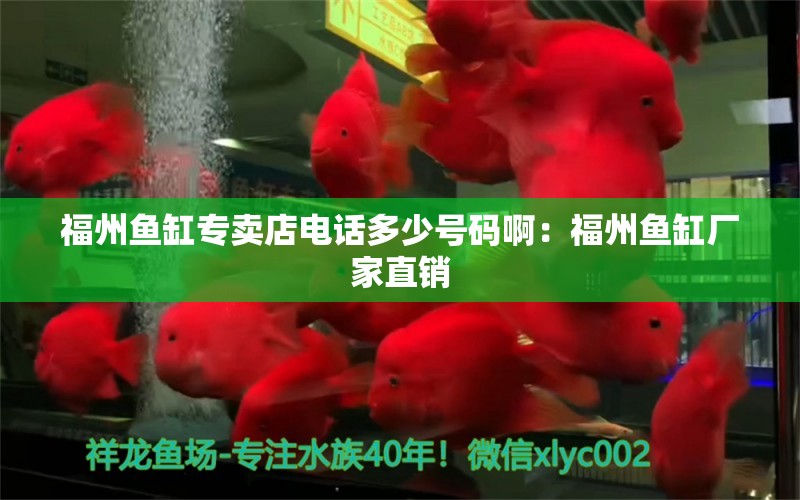 福州鱼缸专卖店电话多少号码啊：福州鱼缸厂家直销