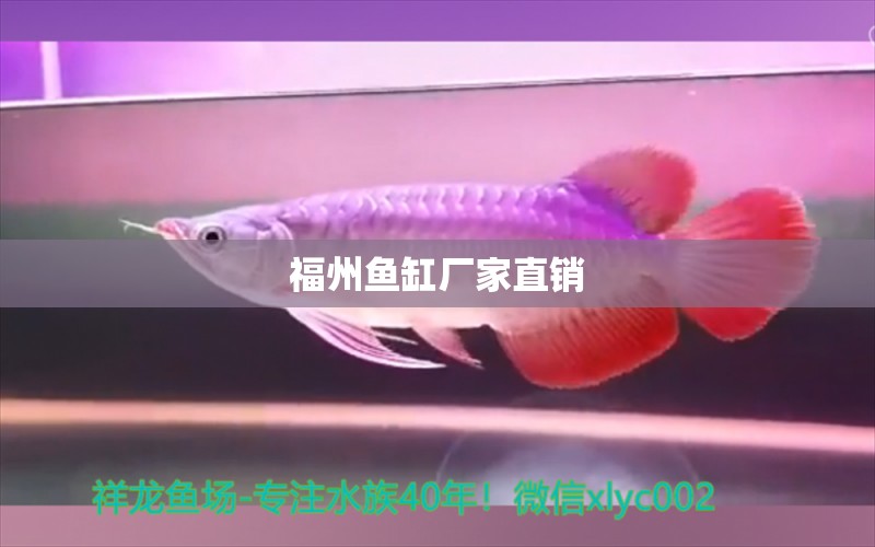 福州鱼缸厂家直销 其他品牌鱼缸