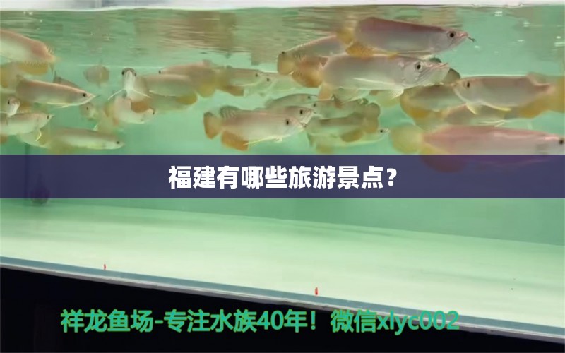 福建有哪些旅游景点？