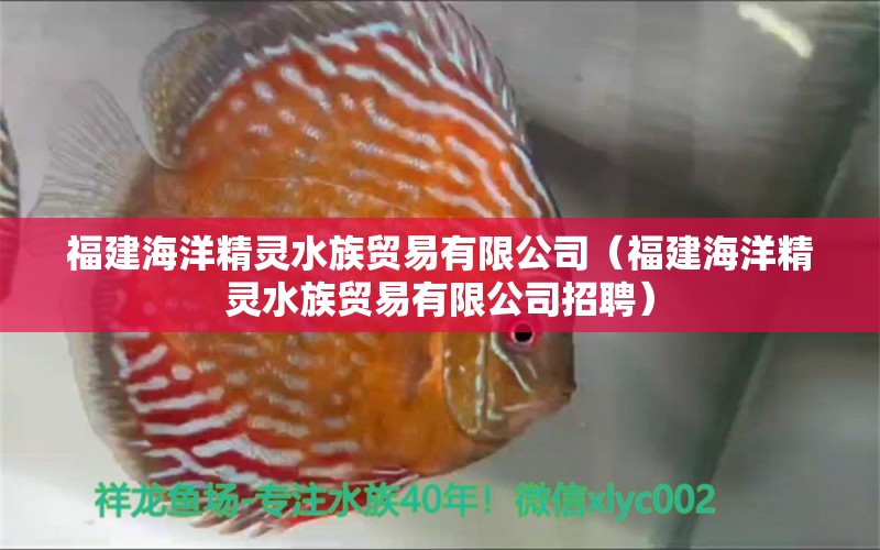 福建海洋精灵水族贸易有限公司（福建海洋精灵水族贸易有限公司招聘）