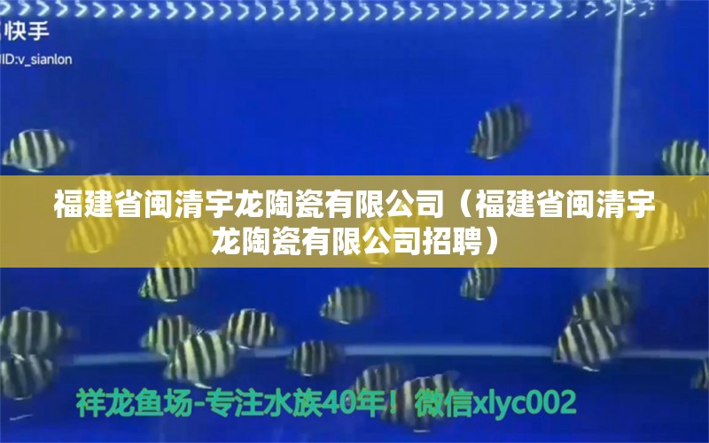 福建省闽清宇龙陶瓷有限公司（福建省闽清宇龙陶瓷有限公司招聘）