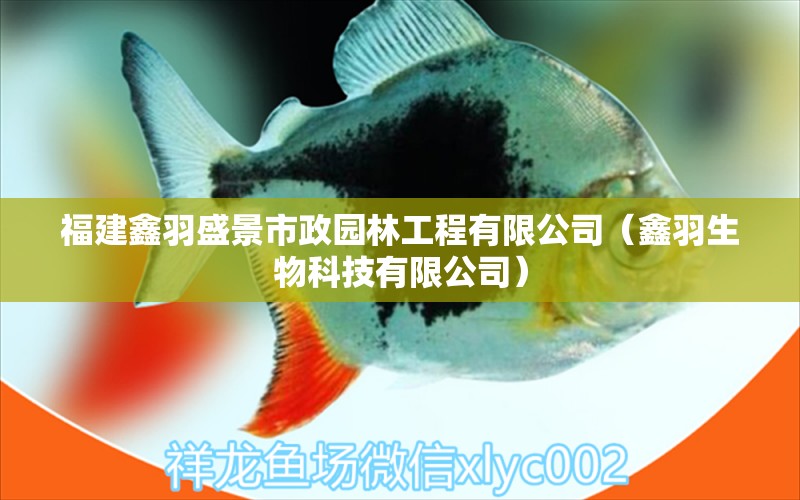 福建鑫羽盛景市政园林工程有限公司（鑫羽生物科技有限公司）