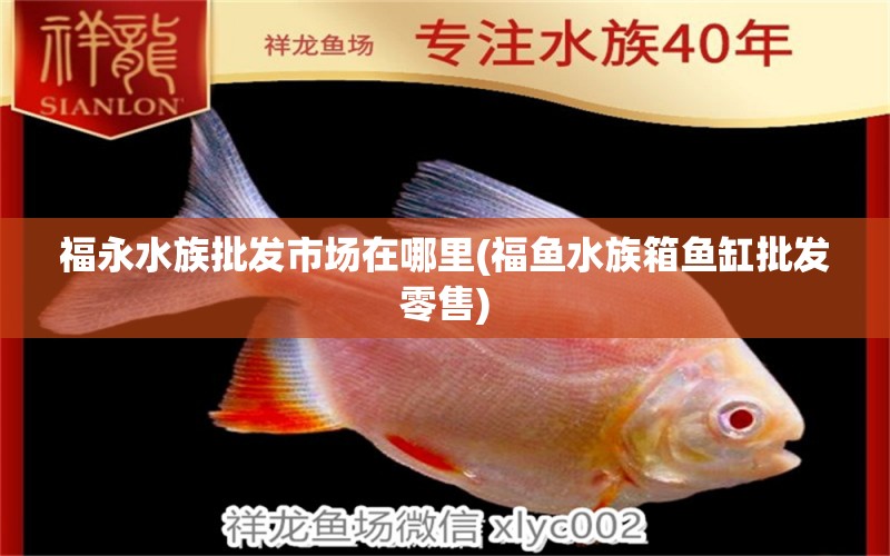 福永水族批发市场在哪里(福鱼水族箱鱼缸批发零售) 观赏鱼水族批发市场