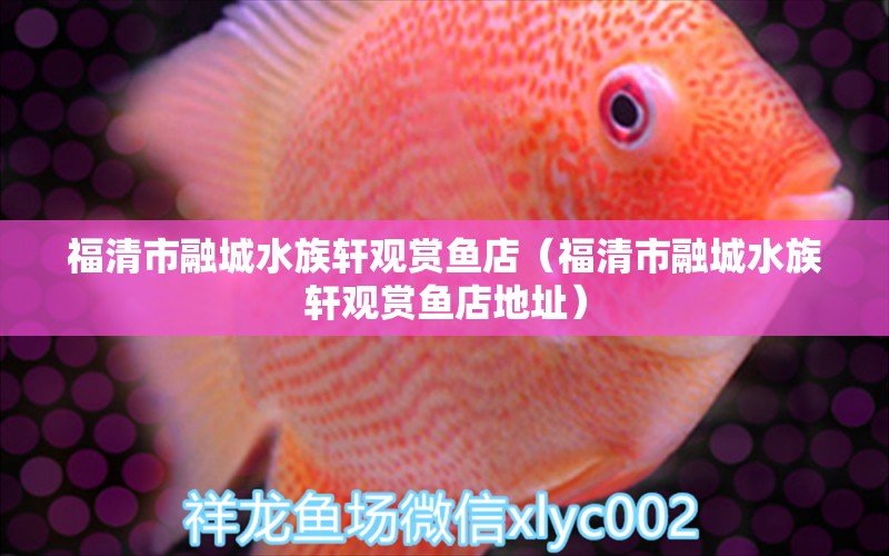 福清市融城水族轩观赏鱼店（福清市融城水族轩观赏鱼店地址）