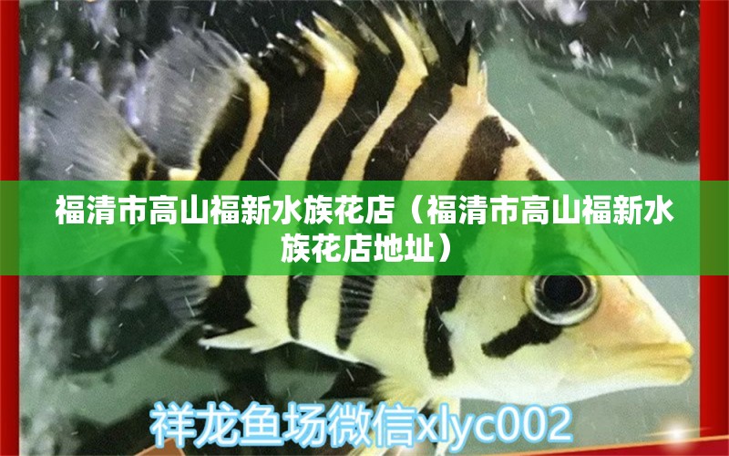 福清市高山福新水族花店（福清市高山福新水族花店地址）