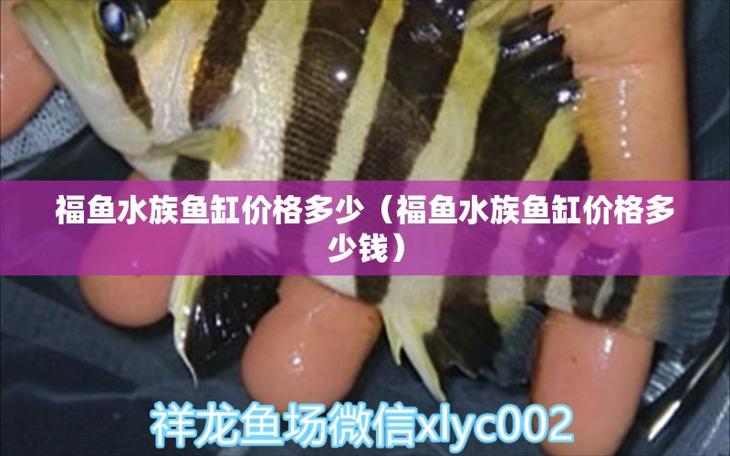 福鱼水族鱼缸价格多少（福鱼水族鱼缸价格多少钱） 祥龙鱼场