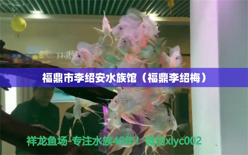 福鼎市李绍安水族馆（福鼎李绍梅） 全国水族馆企业名录