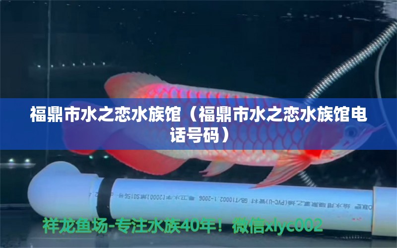 福鼎市水之恋水族馆（福鼎市水之恋水族馆电话号码）