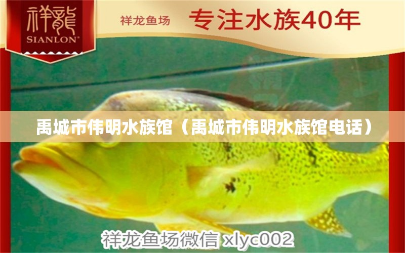 禹城市伟明水族馆（禹城市伟明水族馆电话）