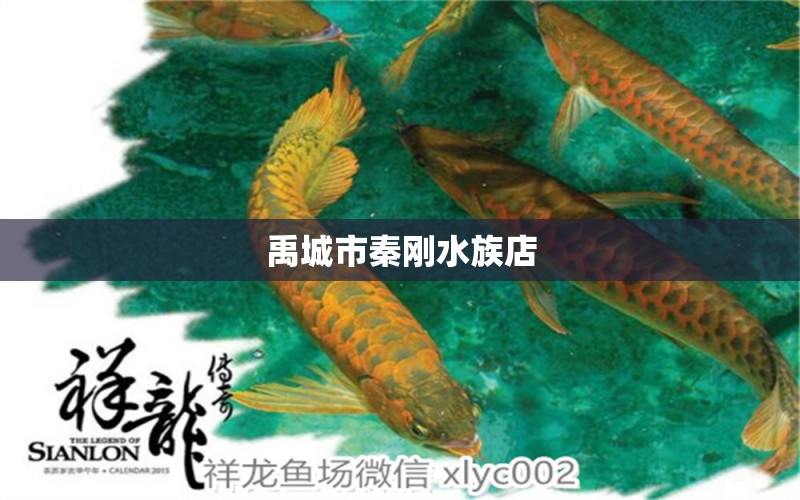 禹城市秦刚水族店 全国水族馆企业名录