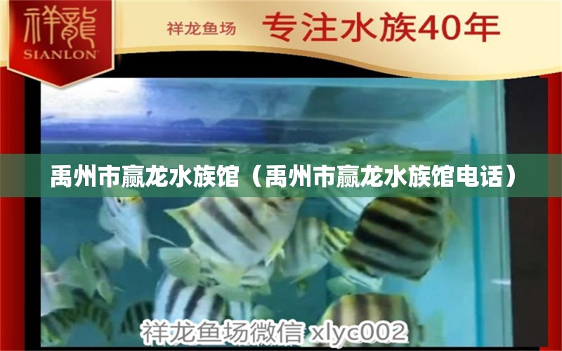 禹州市赢龙水族馆（禹州市赢龙水族馆电话）