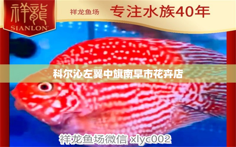 科尔沁左翼中旗南早市花卉店 全国水族馆企业名录